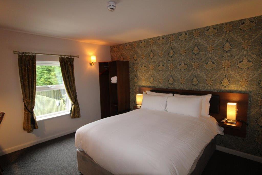 Rooms @ The Dolau Inn New Quay  Exterior foto
